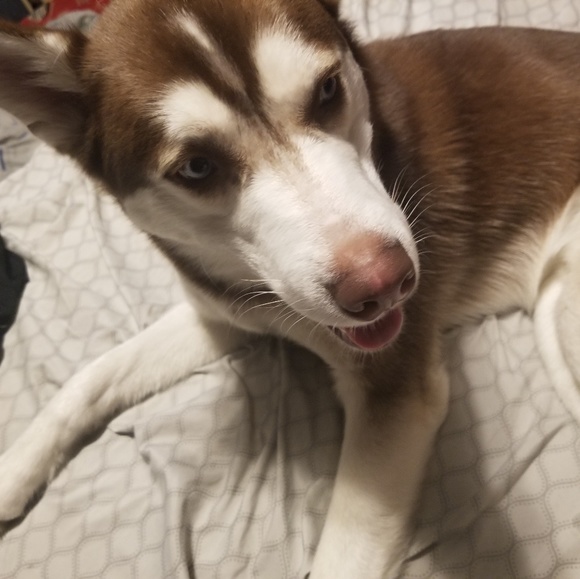 Meet your Posher, Fallin - Picture 1 of 1